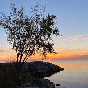 Meet your Posher, Marcelo